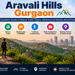 Aravali Hills Gurgaon: Complete Guide to Nature, Activities and Places to Explore
